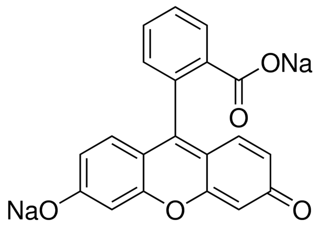 Fluorescein disodná soľ (C.I.45350)